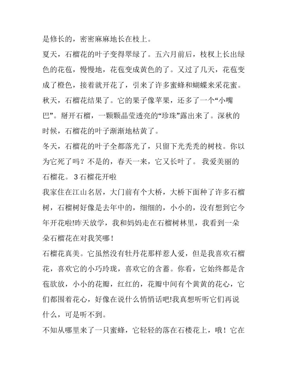 石榴花开花结果250字作文_第2页