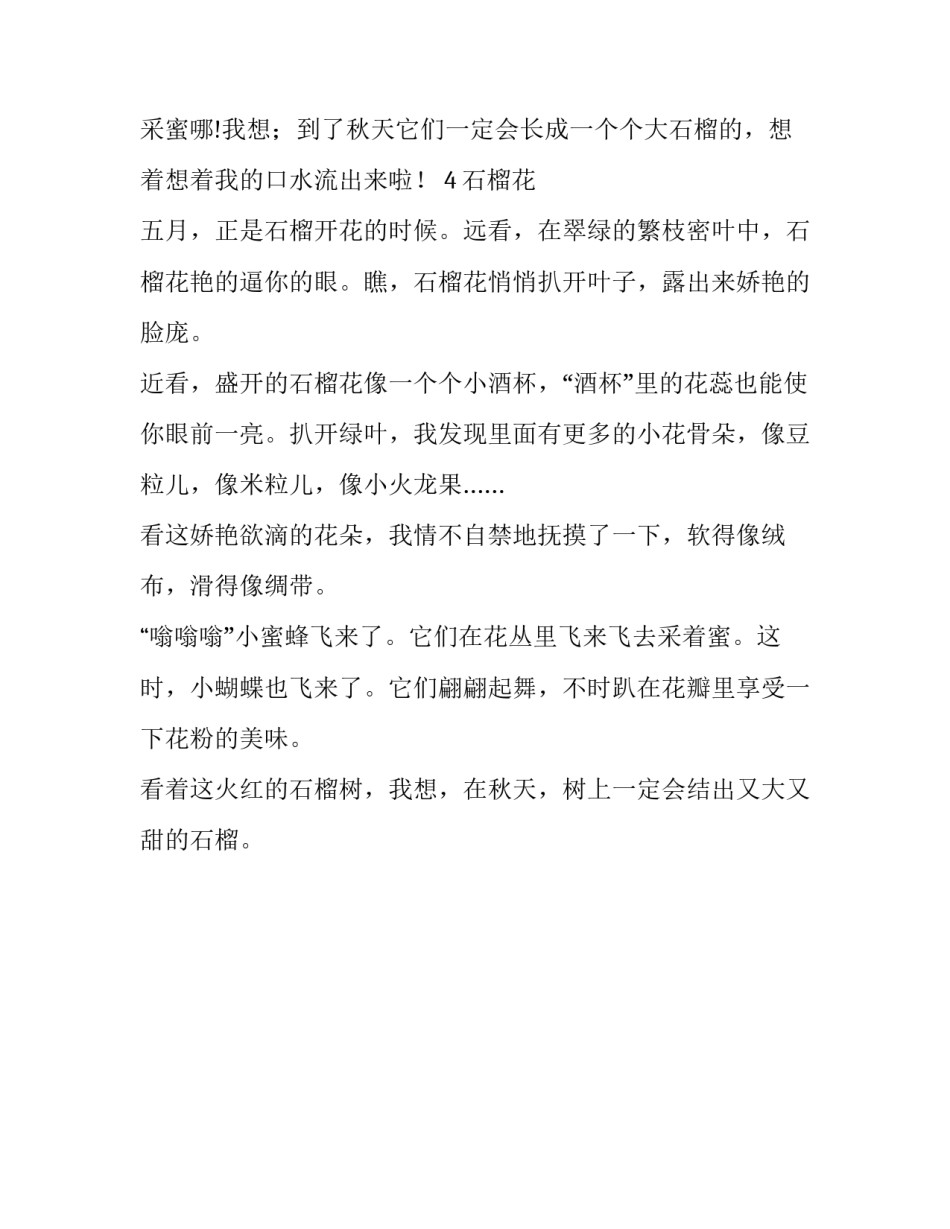 石榴花开花结果250字作文_第3页