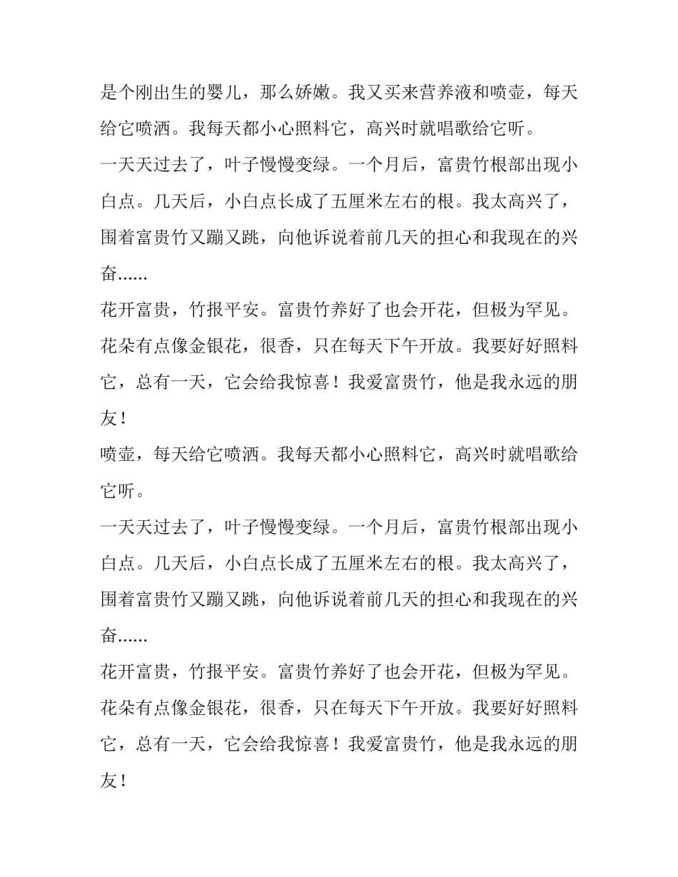 我爱富贵竹抒情作文_第2页