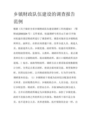 乡镇财政队伍建设的调查报告范例