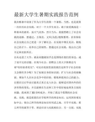 最新大学生暑期实践报告范例