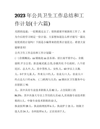 2023年公共卫生工作总结和工作计划(十六篇)