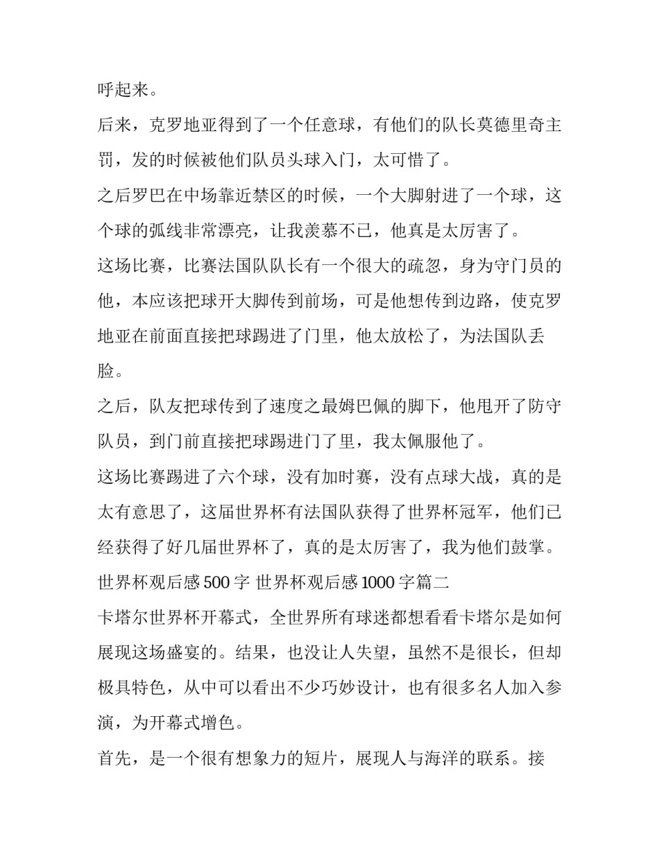 最新世界杯观后感500字 世界杯观后感1000字(8篇)_第2页