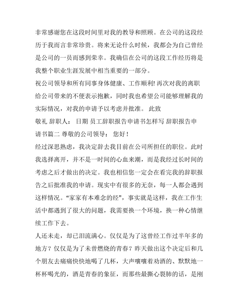 最新员工辞职报告申请书怎样写 辞职报告申请书(5篇)_第3页