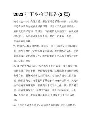 2023年下乡检查报告(3篇)