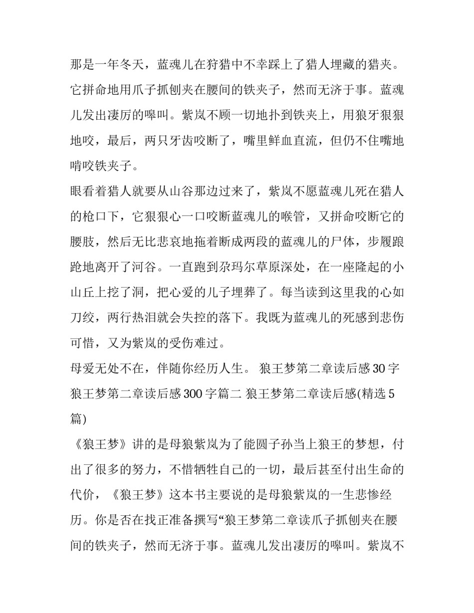 狼王梦第二章读后感30字 狼王梦第二章读后感300字(5篇)_第2页