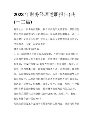 2023年财务经理述职报告(共(十三篇)