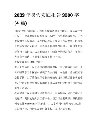 2023年暑假实践报告3000字(4篇)