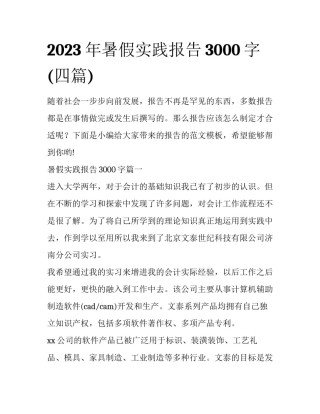 2023年暑假实践报告3000字(四篇)