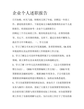 企业个人述职报告