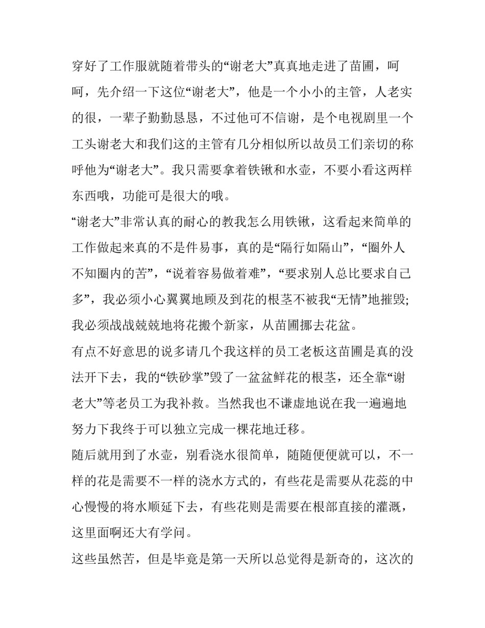 关于寒假的社会实践报告_第2页