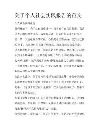 关于个人社会实践报告的范文