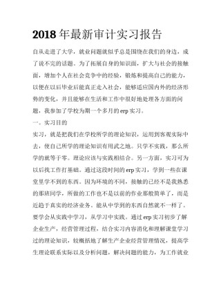 2018年最新审计实习报告