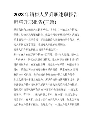 2023年销售人员升职述职报告 销售升职报告(三篇)