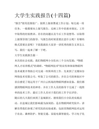 大学生实践报告(十四篇)