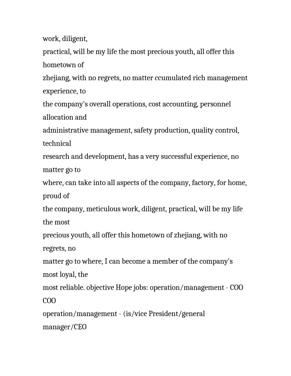 经理英文个人求职简历范文_第2页