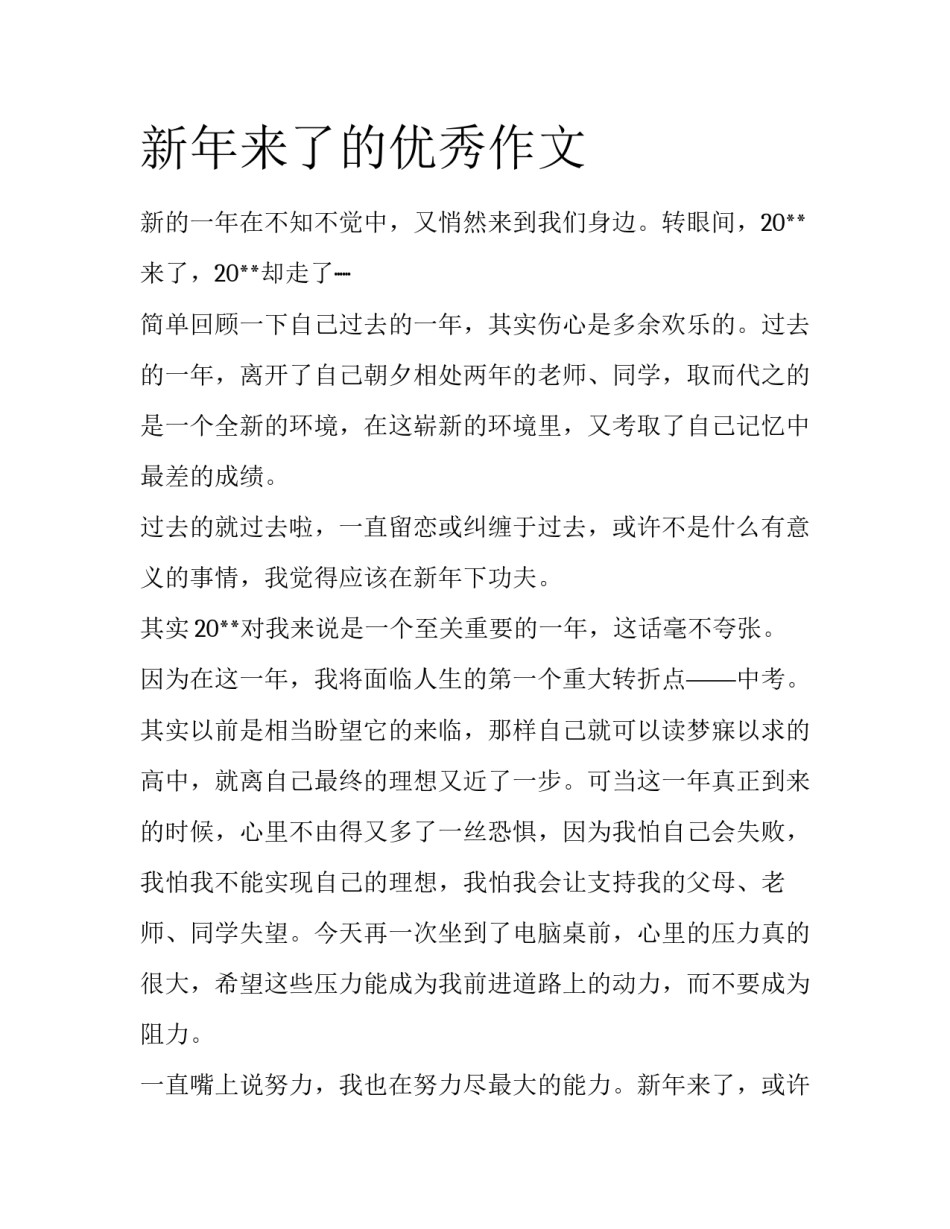 新年来了的优秀作文_第1页