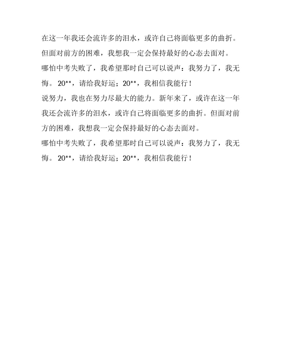 新年来了的优秀作文_第2页