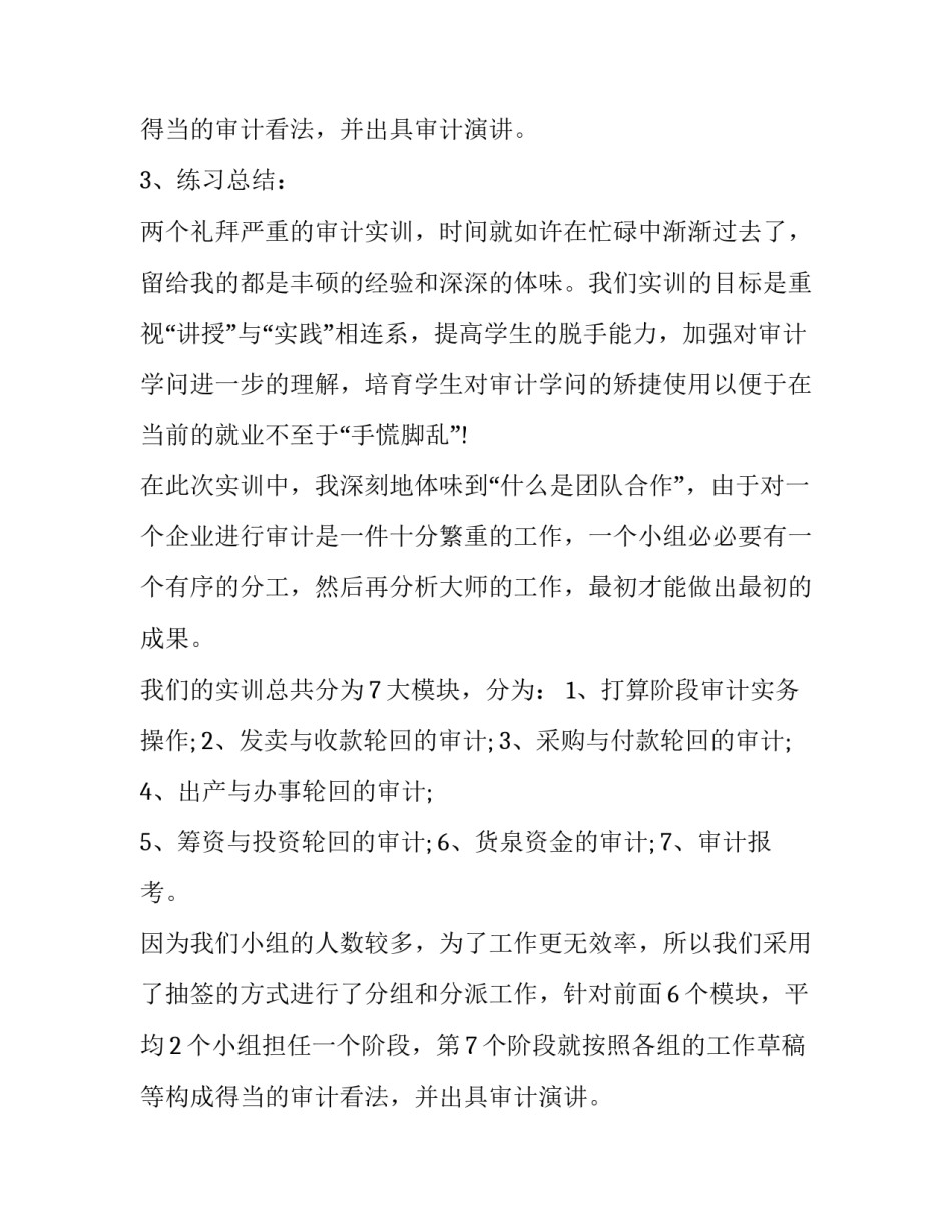 审计学的实训报告(二十二篇)_第2页