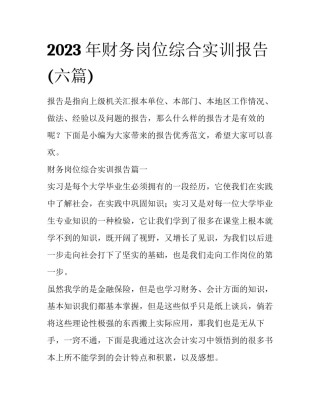 2023年财务岗位综合实训报告(六篇)