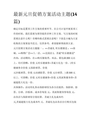 最新元旦促销方案活动主题(14篇)