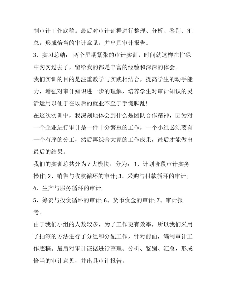 最新最新审计实训报告(3篇)_第2页