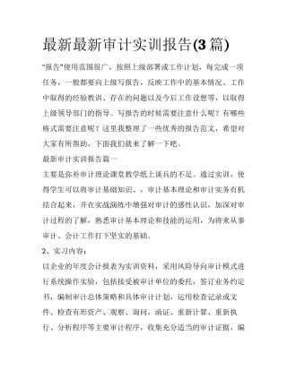 最新最新审计实训报告(3篇)