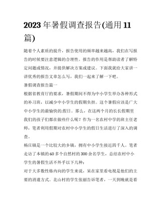 2023年暑假调查报告(通用11篇)