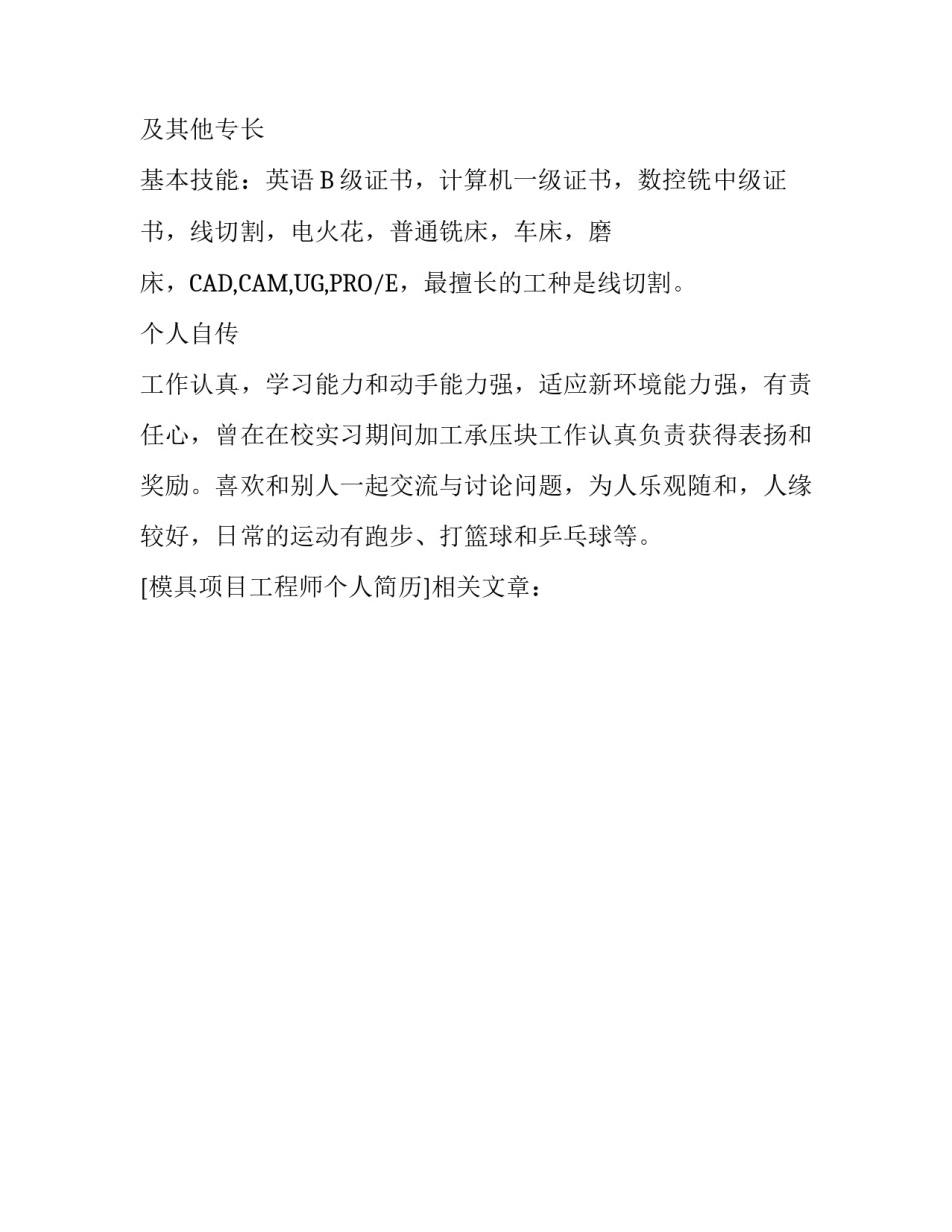 模具项目工程师个人简历_第3页