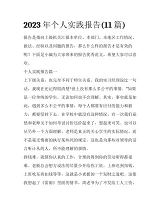 2023年个人实践报告(11篇)