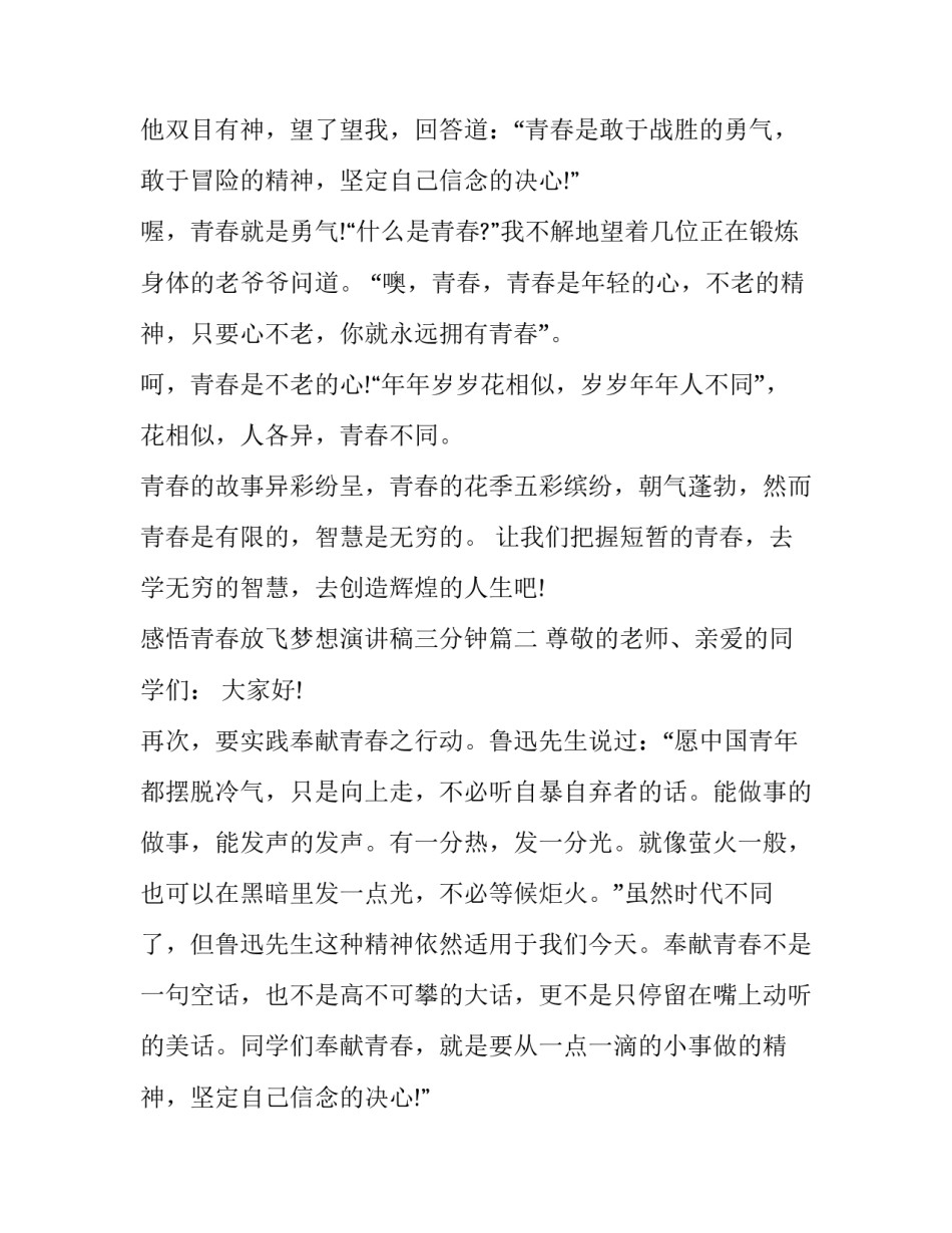 最新感悟青春放飞梦想演讲稿三分钟(十五篇)_第2页