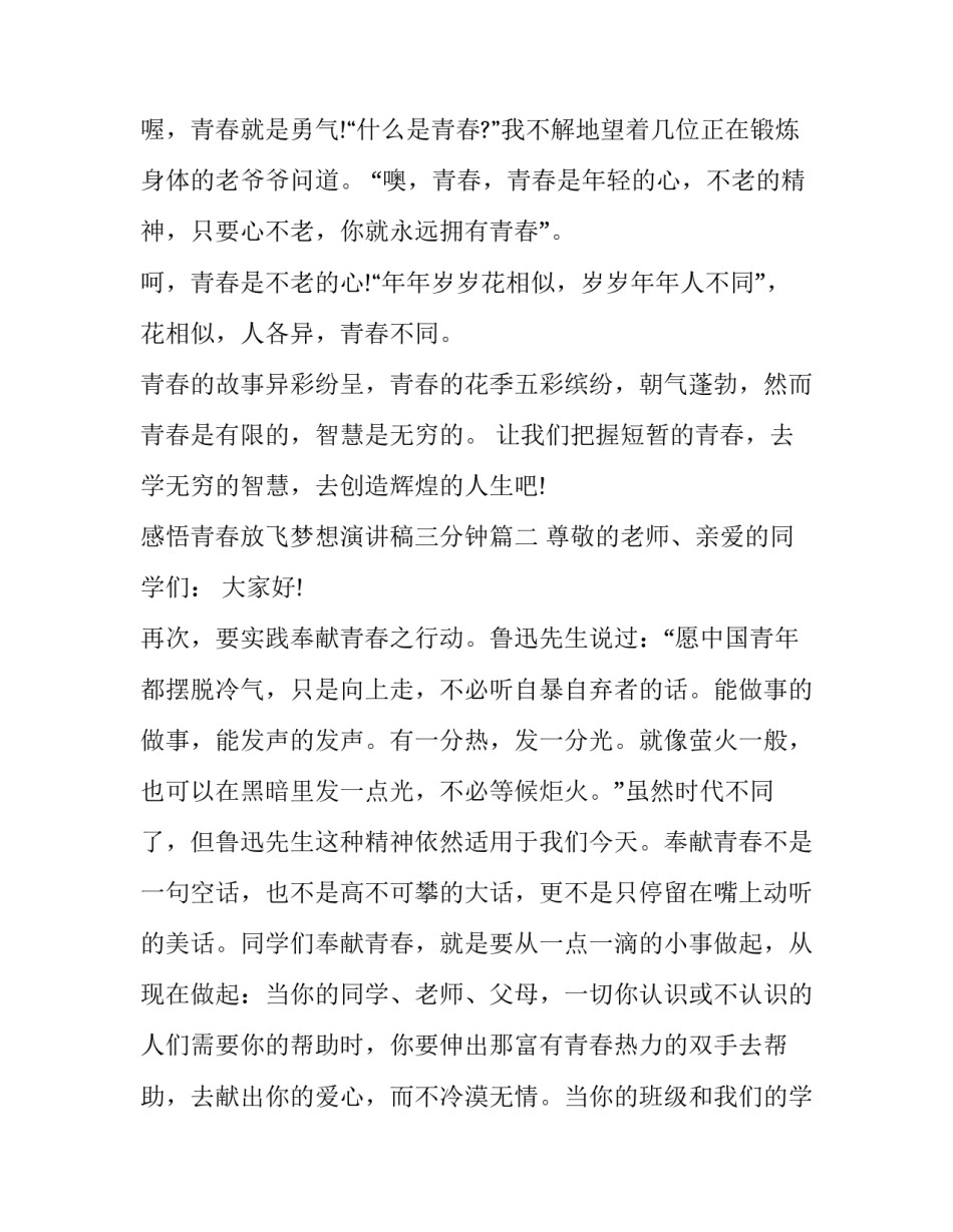 最新感悟青春放飞梦想演讲稿三分钟(十五篇)_第3页