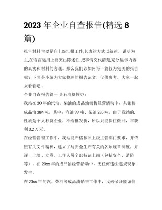 2023年企业自查报告(精选8篇)