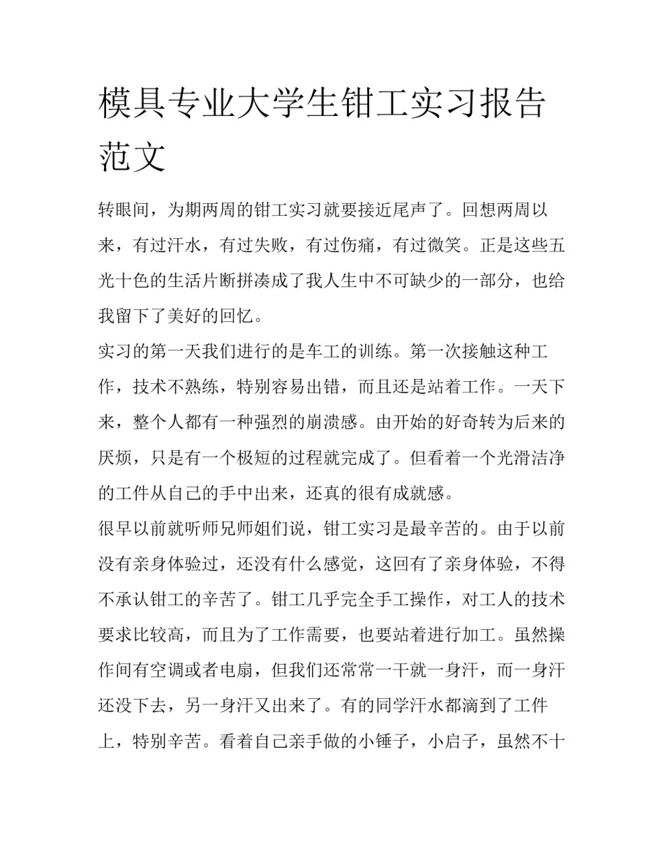 模具专业大学生钳工实习报告范文_第1页