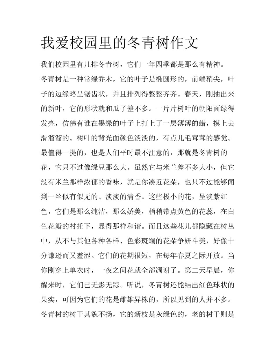 我爱校园里的冬青树作文_第1页