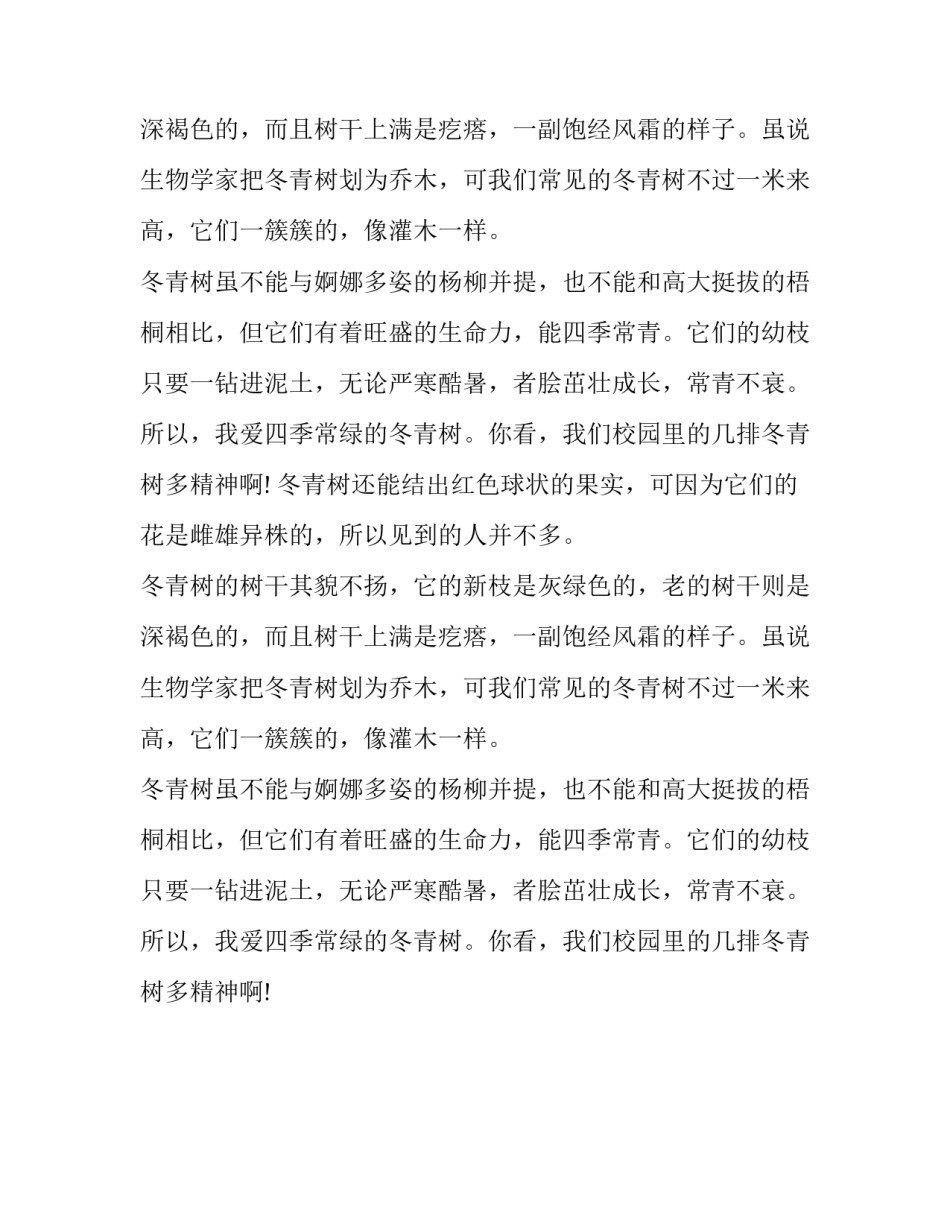 我爱校园里的冬青树作文_第2页