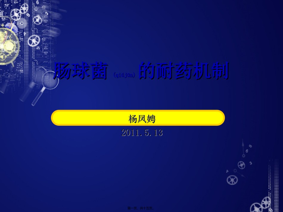 2022年医学专题—肠球菌的耐药机制.ppt_第1页