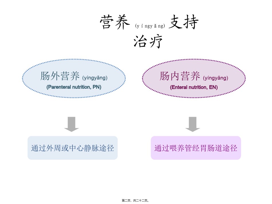 2022年医学专题—肠外营养药品介绍.pptx_第2页