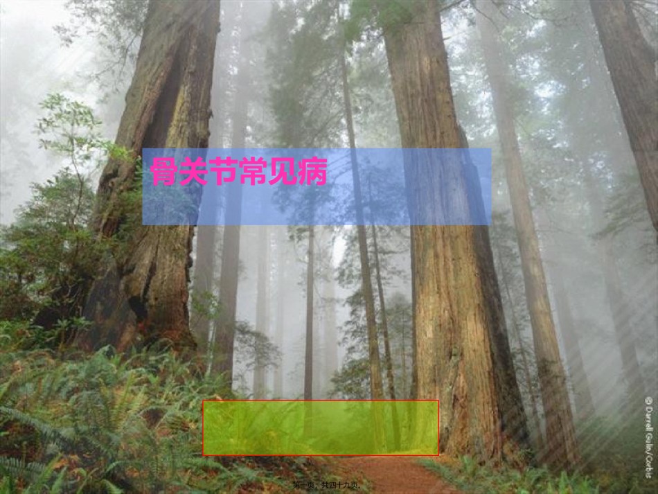 2022年医学专题—常见病2(感染).ppt_第1页