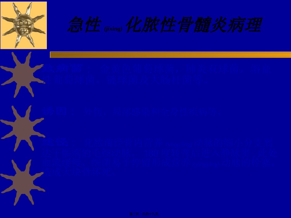 2022年医学专题—常见病2(感染).ppt_第2页