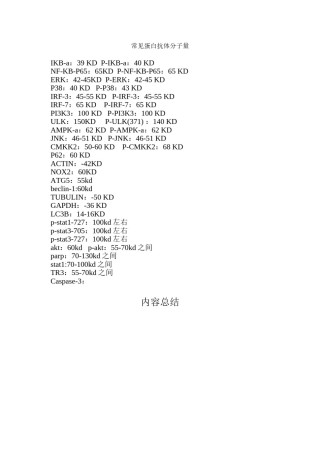 2022年医学专题—常见蛋白抗体分子量.doc