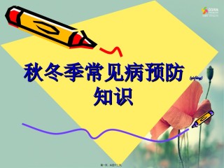 2022年医学专题—常见的呼吸道传染病有流行性感冒流行性腮腺炎流脑.ppt
