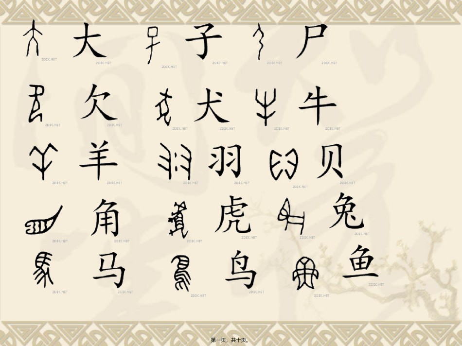 2022年医学专题—常见的甲骨文.ppt_第1页