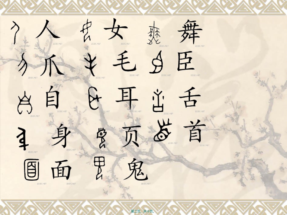2022年医学专题—常见的甲骨文.ppt_第2页