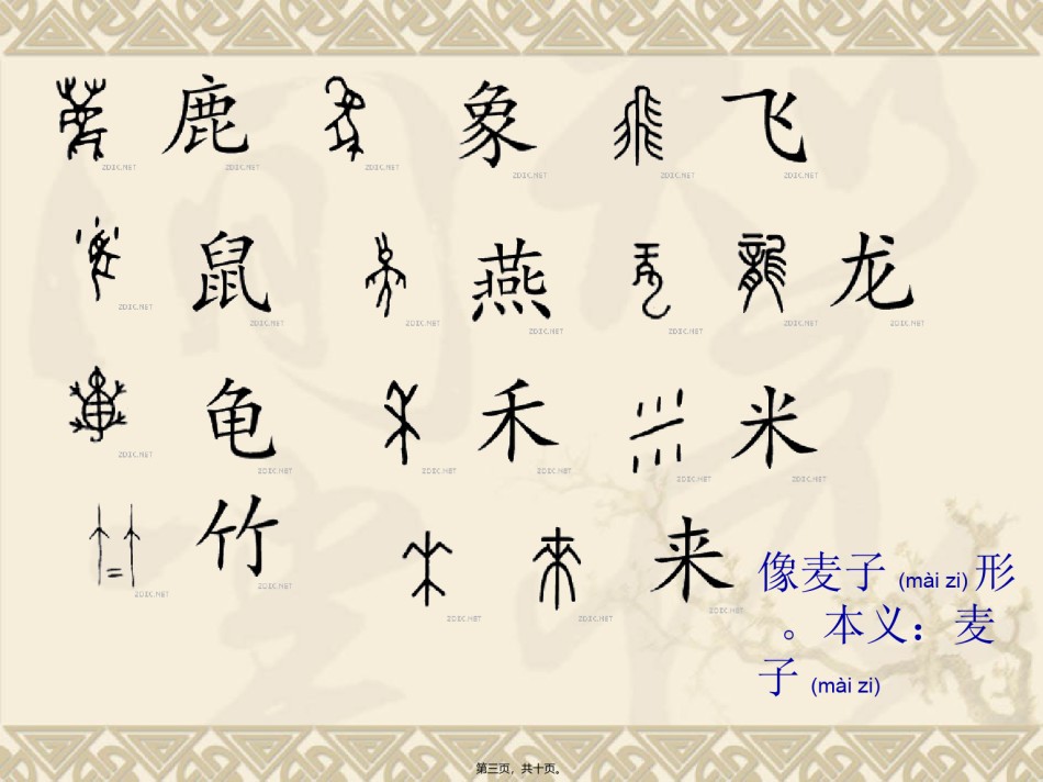 2022年医学专题—常见的甲骨文.ppt_第3页