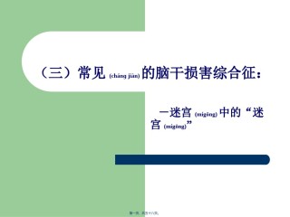 2022年医学专题—常见的脑干损害综合征模板.ppt