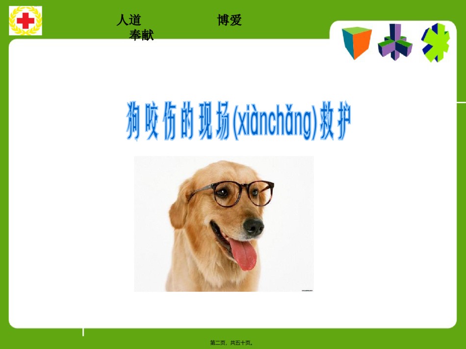 2022年医学专题—常见动物(昆虫)咬蛰伤应急救护讲义.ppt_第2页