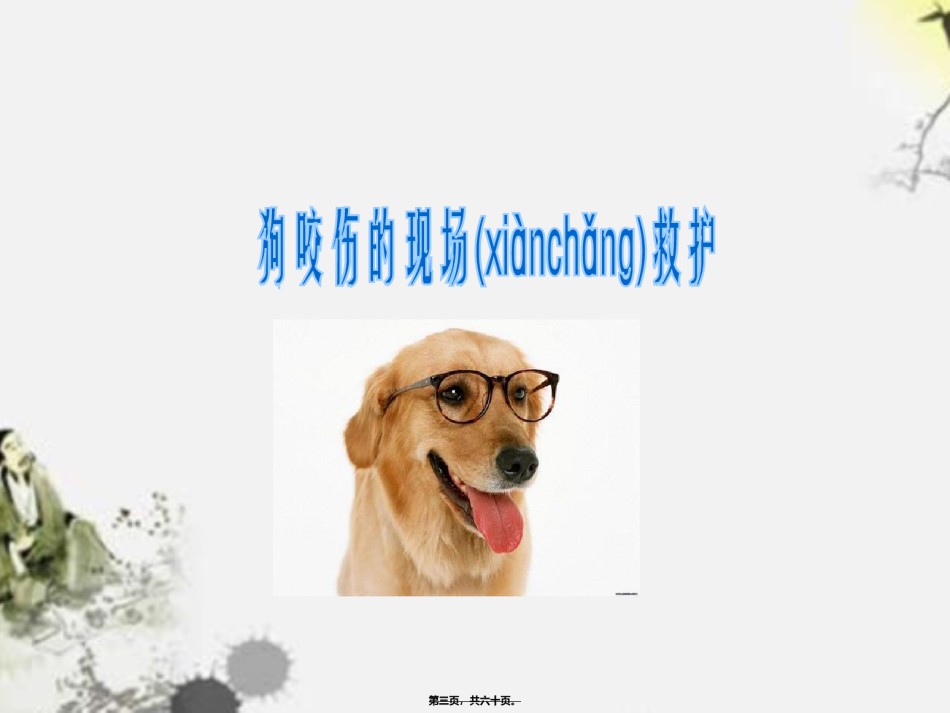 2022年医学专题—常见动物(昆虫)咬、蛰伤应急救护-改.ppt_第3页
