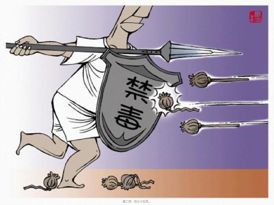 2022年医学专题—常见毒品种类因卡可吗啡大麻.ppt_第2页