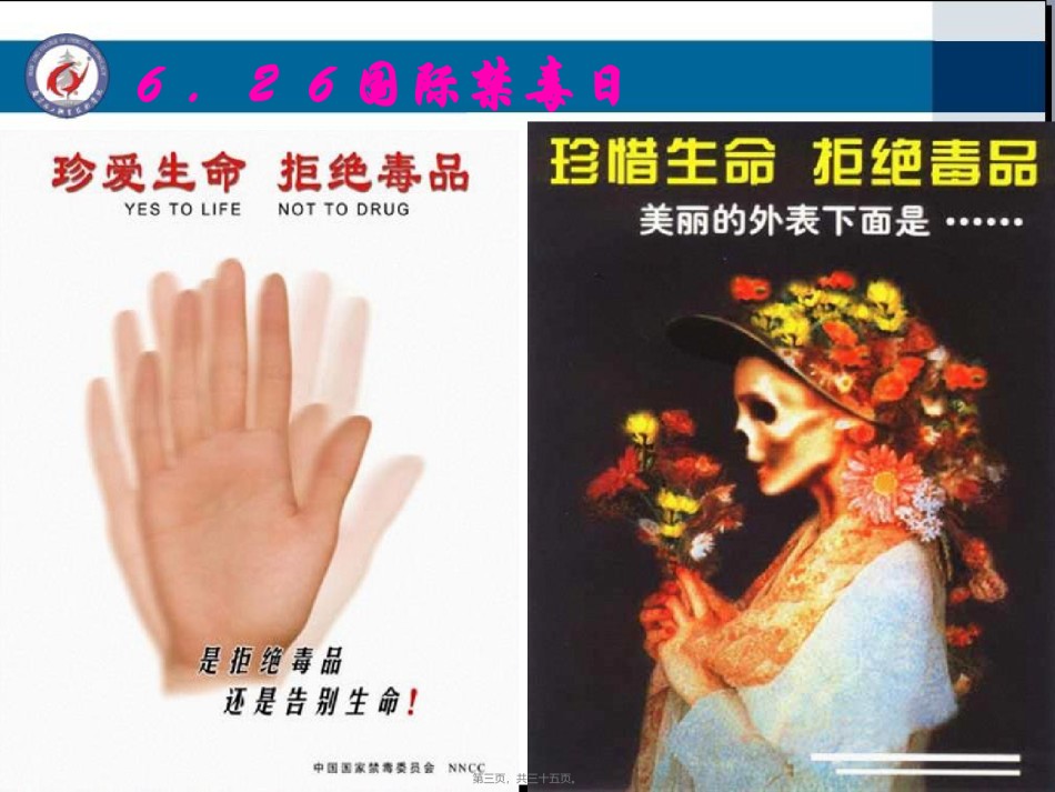 2022年医学专题—常见毒品种类因卡可吗啡大麻.ppt_第3页